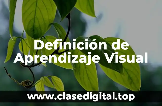 Definición de Aprendizaje Visual