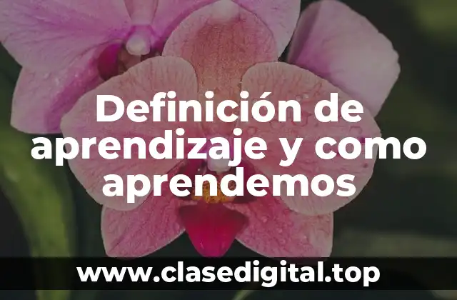 Definición de aprendizaje y como aprendemos