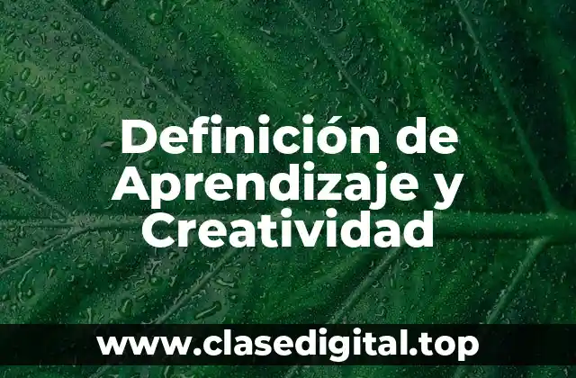 Definición técnica de Aprendizaje y Creatividad
