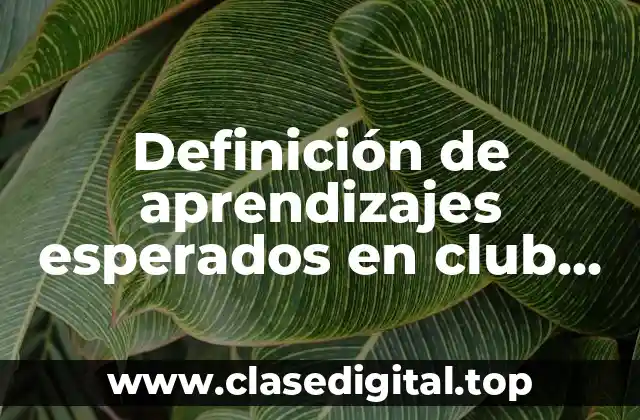 Definición de aprendizajes esperados en club de secundaria