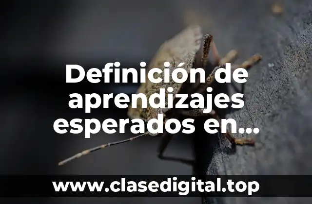 Definición de aprendizajes esperados en formación cívica y ética secundaria