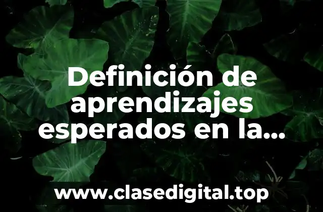 Definición de aprendizajes esperados en la materia de sociología.