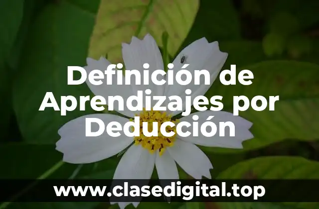 Definición de Aprendizajes por Deducción
