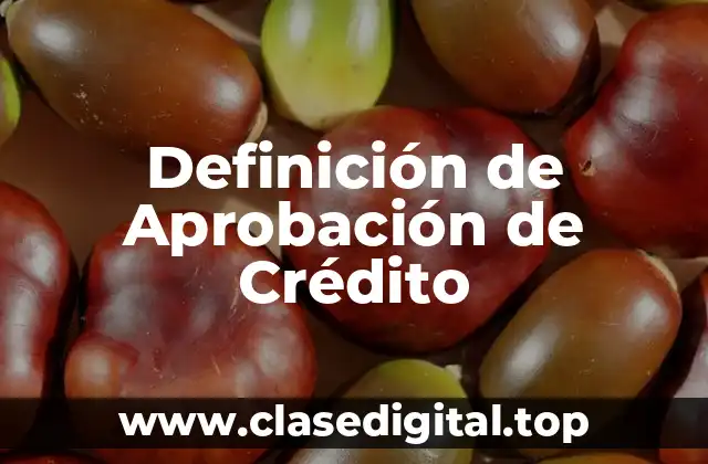 Definición de Aprobación de Crédito