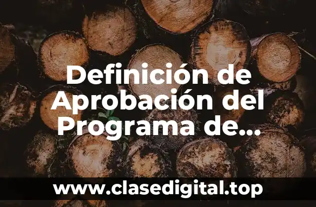 Definición de Aprobación del Programa de Auditoría