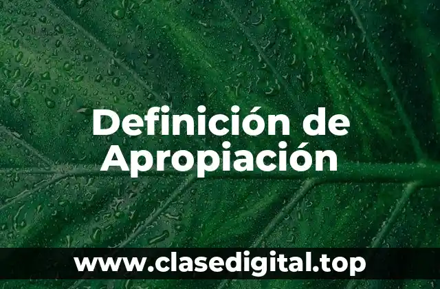 Definición de Apropiación