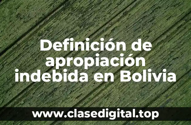 Definición de apropiación indebida en Bolivia