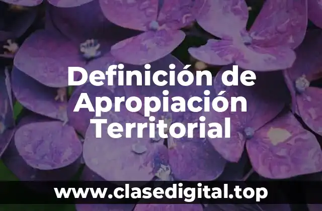 Definición de Apropiación Territorial