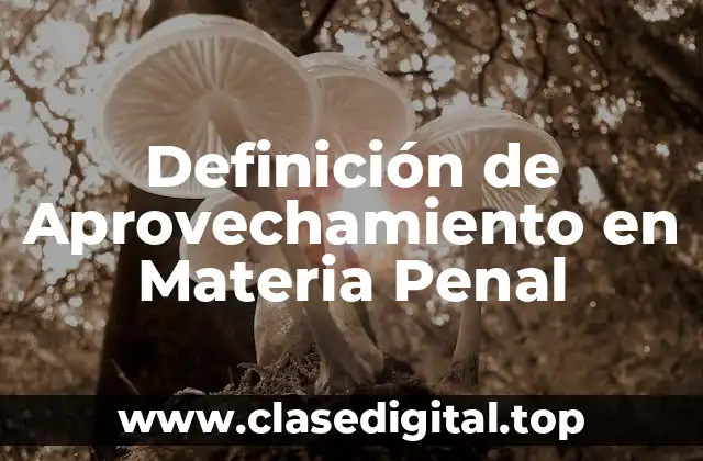 Definición de Aprovechamiento en Materia Penal