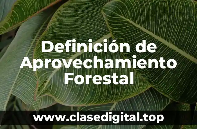 Definición de Aprovechamiento Forestal