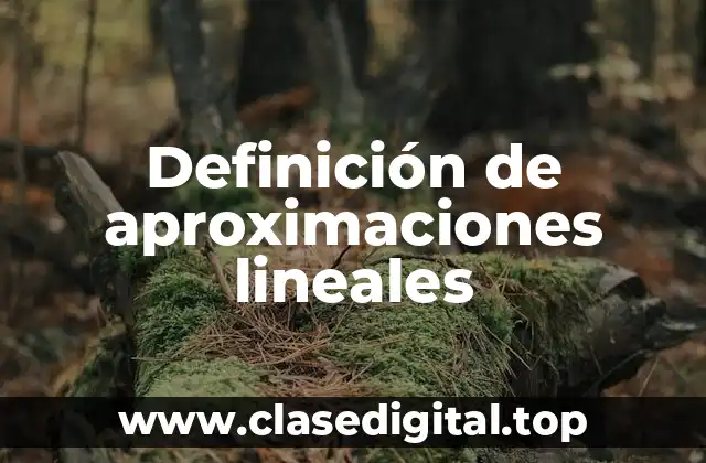 Definición de aproximaciones lineales