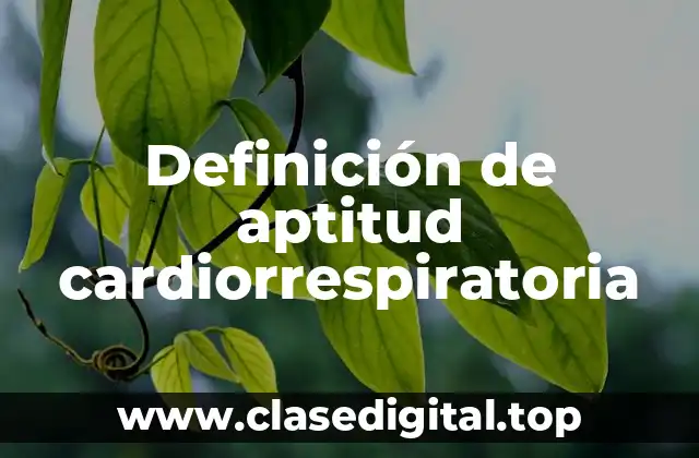 Definición de aptitud cardiorrespiratoria