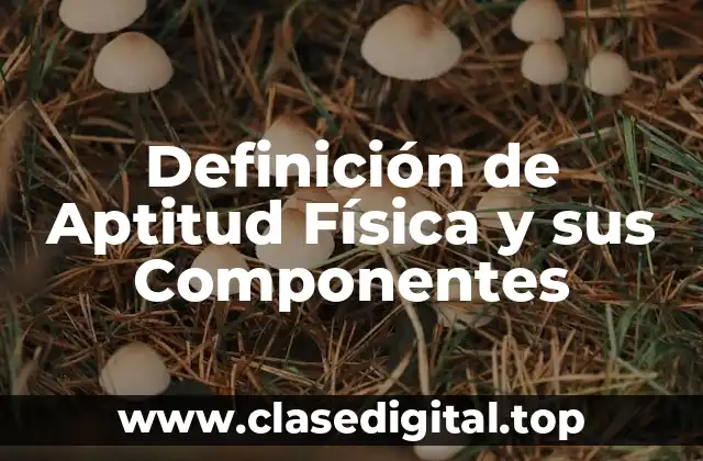 Definición de Aptitud Física y sus Componentes