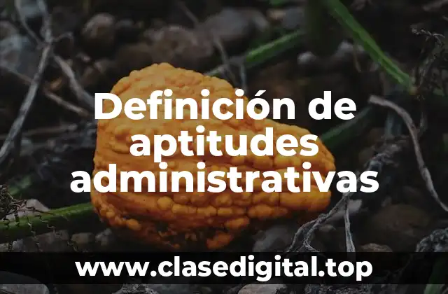 Definición de aptitudes administrativas