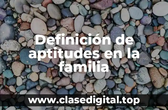 Definición de aptitudes en la familia