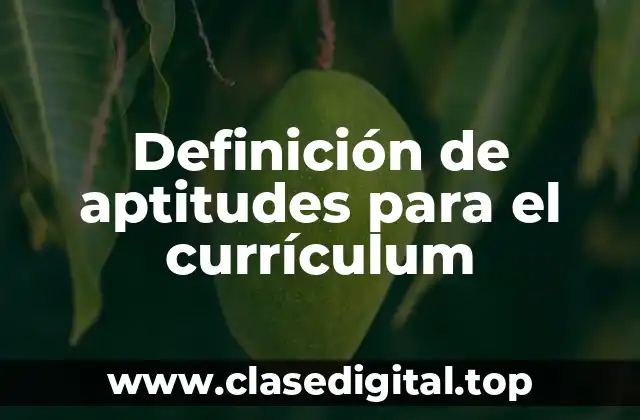 Definición de aptitudes para el currículum