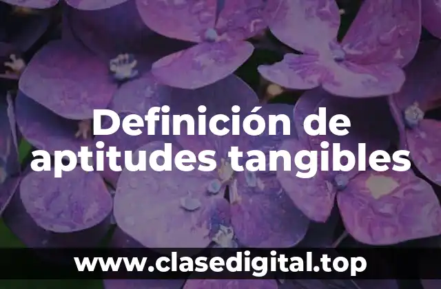 Definición de aptitudes tangibles