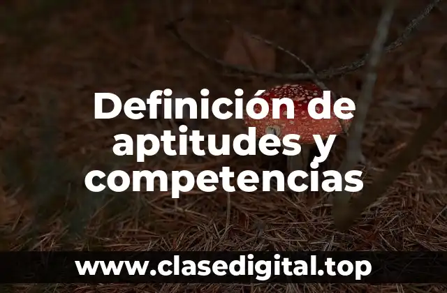 Definición de aptitudes y competencias