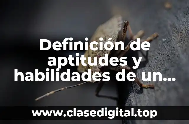 Definición de aptitudes y habilidades de un contador