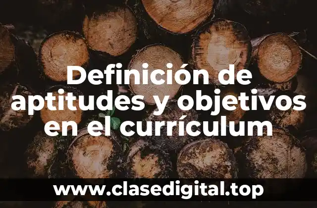 Ejemplos de aptitudes y objetivos en el currículum