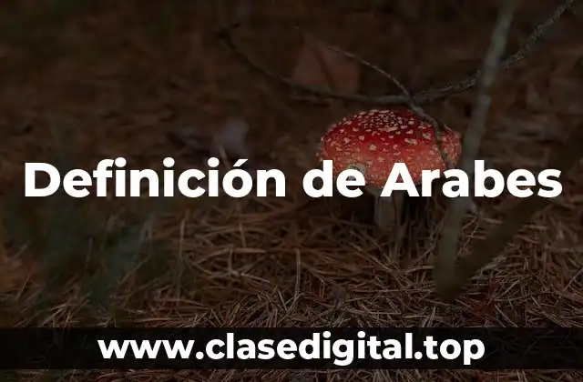 Definición de Arabes