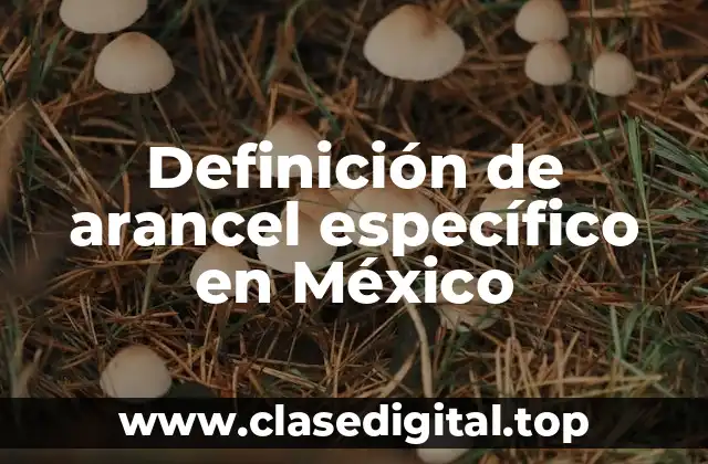 Definición de arancel específico en México