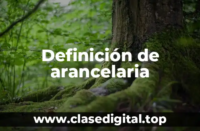 Definición de arancelaria