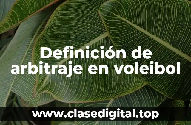 Definición técnica de arbitraje en voleibol