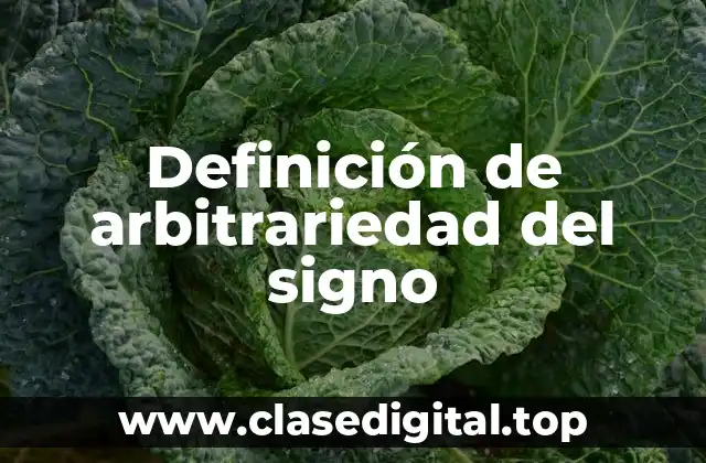 Definición de arbitrariedad del signo