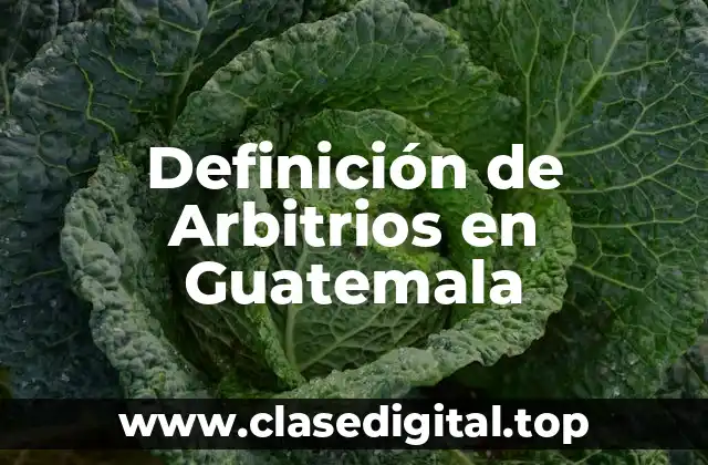Definición de Arbitrios en Guatemala