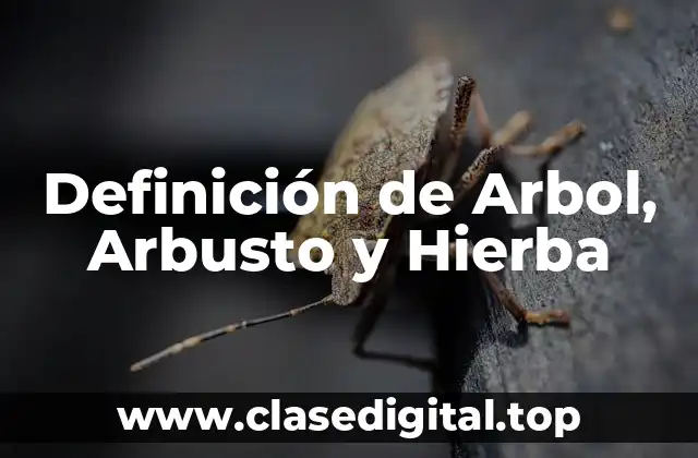 Definición de Arbol, Arbusto y Hierba