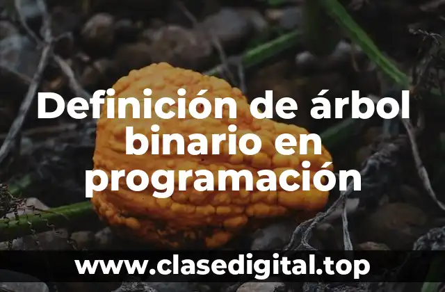 Definición de árbol binario en programación