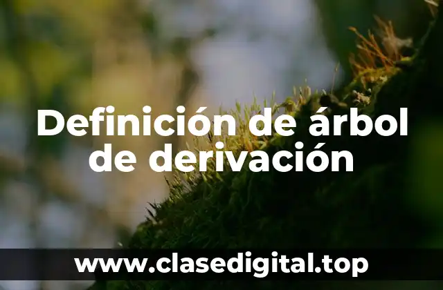Definición técnica de árbol de derivación