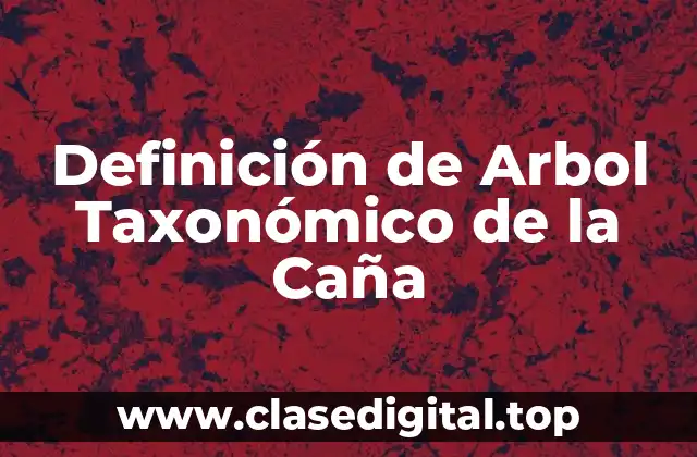 Ejemplos de Arbol Taxonómico de la Caña