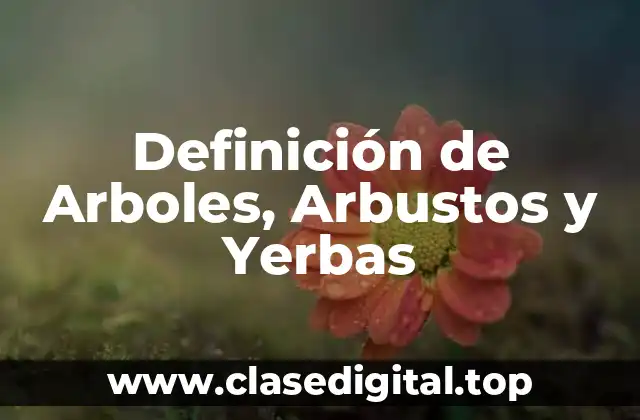 Definición de Arboles, Arbustos y Yerbas