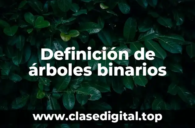 Definición de árboles binarios