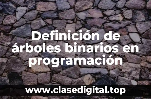 Definición de árboles binarios en programación