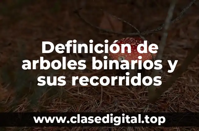 Definición de arboles binarios y sus recorridos