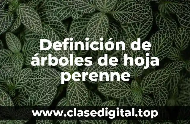Definición de árboles de hoja perenne