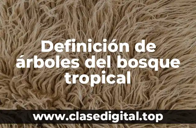 Definición de árboles del bosque tropical