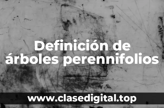 Definición de árboles perennifolios