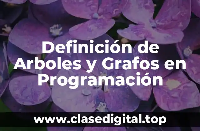 Definición de Arboles y Grafos en Programación