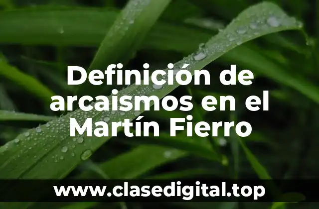 Definición de arcaismos en el Martín Fierro