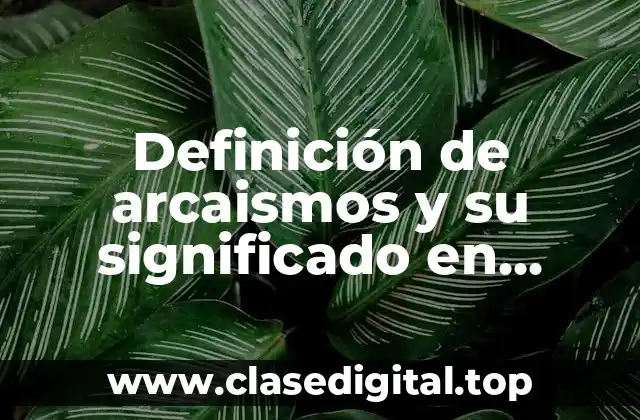 Definición de arcaismos y su significado en español