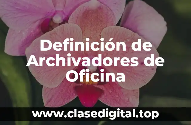 Definición de Archivadores de Oficina