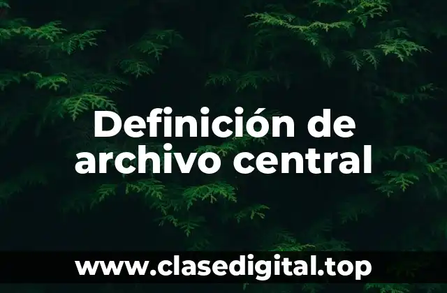 Definición de archivo central
