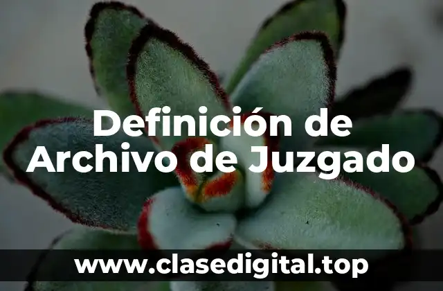 Definición de Archivo de Juzgado