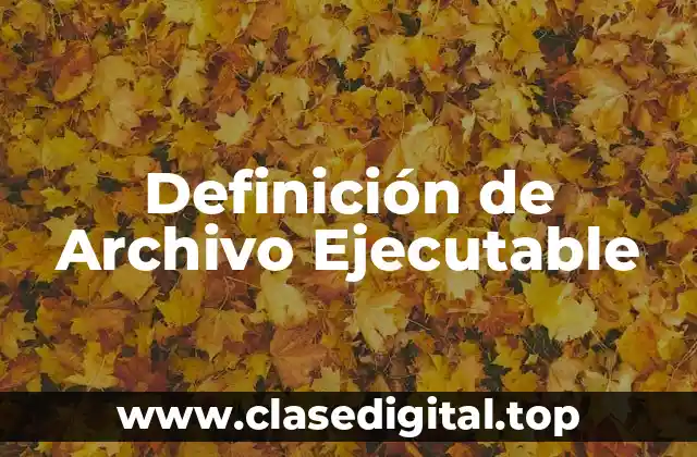 Definición de Archivo Ejecutable