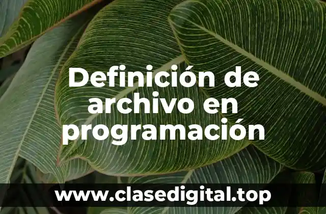 Definición de archivo en programación