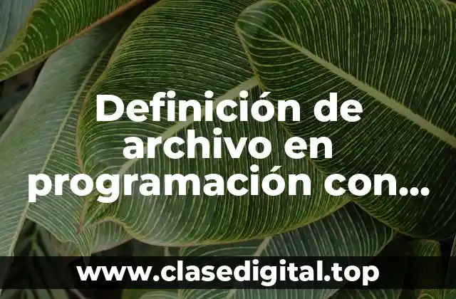 Definición de archivo en programación con autor